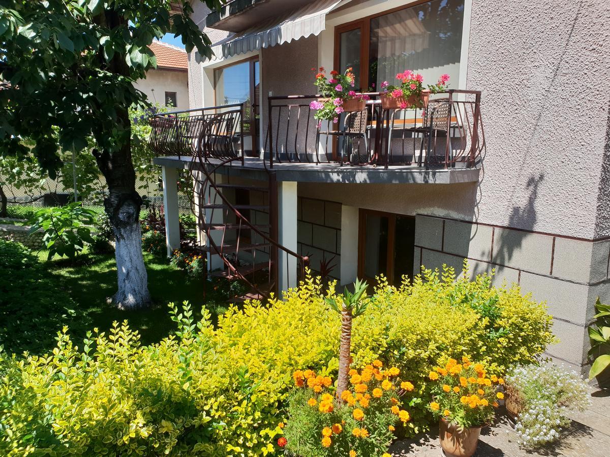 Kyurkchievi Guest House Sapareva Banya Extérieur photo